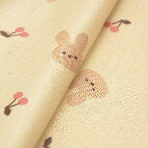 y3(30cm)10cmPʁz჉~l[g/Ŕ `F[ rbg