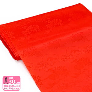 y3(30cm)10cmPʁzACdq AZe[g  a @n