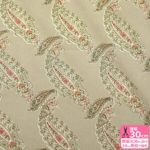 y3(30cm)10cmPʁzYUWA (L) ̑cfUC yCY[ V[eBOn