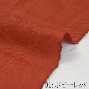 y3(30cm)10cmPʁzxM[l n