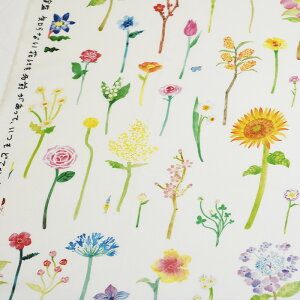 y3(30cm)10cmPʁzKOKKA RbJ Ԃ̐} paper message V[`On