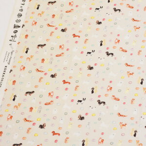 y3(30cm)10cmPʁzKOKKA RbJ Ɖ paper message V[`On