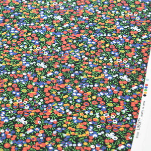 y3(30cm)10cmPʁz Liberty oeB EBgEV[ Xp[N ^i[n