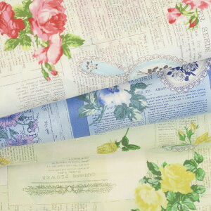 y3(30cm)10cmPʁzYUWA (L) 苾 V[eBOn