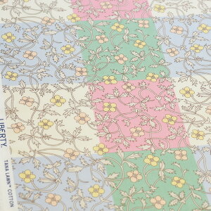 y3(30cm)10cmPʁzRosita Check (W[^E`FbN) Liberty Fabrics oeBEt@ubNX lIJ[ ^i[n