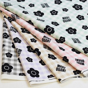 y3(30cm)10cmPʁzMARY QUANTi}[Ngj `FbN IbNXn