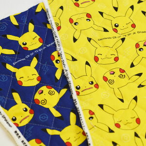 y3(30cm)10cmPʁzKOKKA RbJ sJ`E tFCX LeBOn