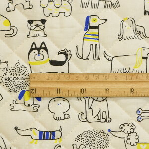 y3(30cm)10cmPʁzRiconic RjbN LeBOnyЂƂl1m܂Łz