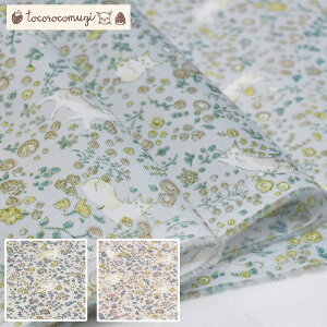 y3(30cm)10cmPʁzuRM̐X̐nvԔ ɂ iCn