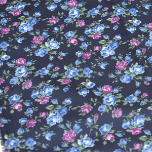 y3(30cm)10cmPʁzo iC^t^ iCn