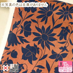 y3(30cm)10cmPʁzLiberty Fabrics oeBEt@ubNX t_[Xl Poppy Dawn/|s[Eh[ ln