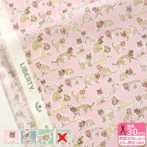 y3(30cm)10cmPʁzLiberty Fabrics oeBEt@ubNX Willoughby Mews/EBr[E~[Y ^i[n