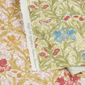 y3(30cm)10cmPʁzModa BEST OF MORRIS Iris (ACX) V[`On