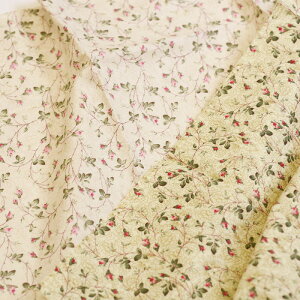 y3(30cm)10cmPʁzYUWA (L) ̑cfUC Climbing rose V[eBOn