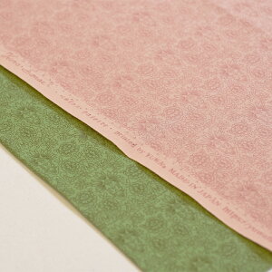 y3(30cm)10cmPʁzYUWA (L) ̑cfUC DaintyBess rose V[eBOn