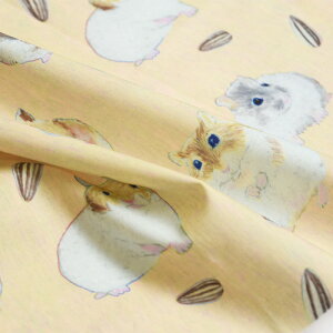 y3(30cm)10cmPʁznora GX^WI hamster V[`On