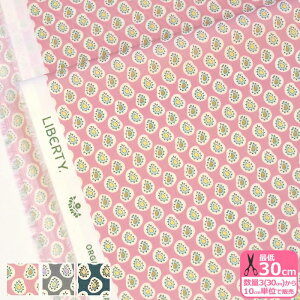 y3(30cm)10cmPʁzLiberty Fabrics oeBEt@ubNX FARTHINGALE PAISLEY t@[WQ[EyCY[ ^i[n