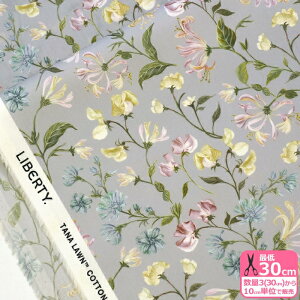 y3(30cm)10cmPʁzLiberty Fabrics oeBEt@ubNX Asaka Dream / ATJEh[ ^i[n