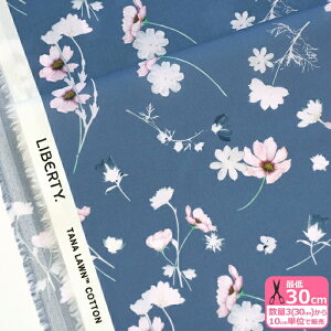 y3(30cm)10cmPʁzLiberty Fabrics oeBEt@ubNX Nocturne/mN^[ ^i[n