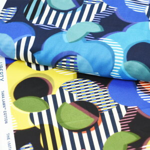 y3(30cm)10cmPʁzLiberty Fabrics oeBEt@ubNX Style memphis X^CEtBX ^i[n