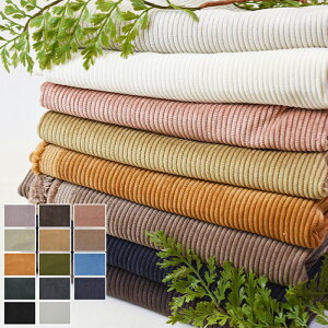 NewIy3(30cm)10cmPʁzn GXeXgb` R[fCn