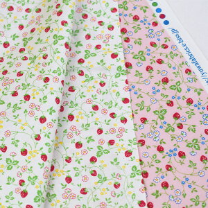 y3(30cm)10cmPʁzYUWA (L) R֎qfUC h 30fs collection h V[eBOn