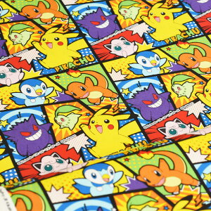 y3(30cm)10cmPʁzKOKKA RbJ |PbgX^[ R~bN IbNXn