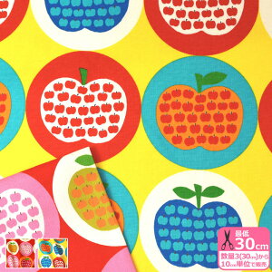 y3(30cm)10cmPʁzt[c in t[c AbvinAbv IbNXn