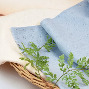 y3(30cm)10cmPʁzCɓxr[ n[gjbg jbgn