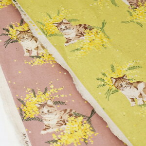 y3(30cm)10cmPʁz჉~l[g/ŔȖLoXvg L~U