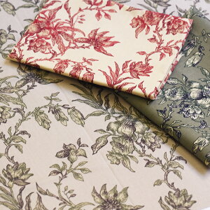 X܉i30OFFIy3(30cm)10cmPʁzYUWA (L) h Line Drawing h Ch[CO V[eBOn