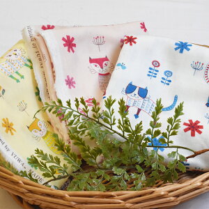 y3(30cm)10cmPʁzL֏X YUWA uMany Catsv j[Lbg WK[[n