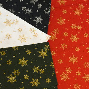 y3(30cm)10cmPʁz炫 ̌ XPA[n