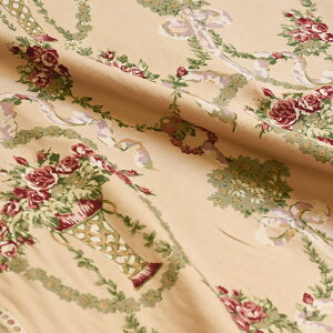 y3(30cm)10cmPʁzYUWA (L) t[oXPbg OLoX aؖ n