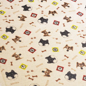 y3(30cm)10cmPʁz჉~l[g/ŔRbg΂₵ ČXebJ[ ~l[g