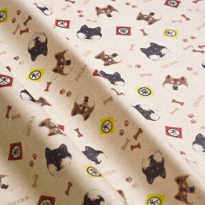 y3(30cm)10cmPʁz჉~l[g/܂Ŕ Rbg΂₵ ČXebJ[ ~l[g