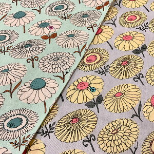 y3(30cm)10cmPʁzisso ecco HINAGIKU Cb\GbRV[Y ЂȂ ȖLoXn