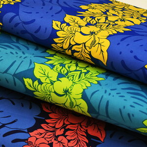 y3(30cm)10cmPʁznCA nCrXJX T/Cu[hn