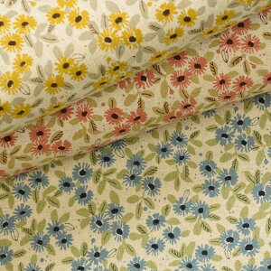 y3(30cm)10cmPʁzSEVENBERRY Zux[ 菑 }[Kbg ȖLoXn