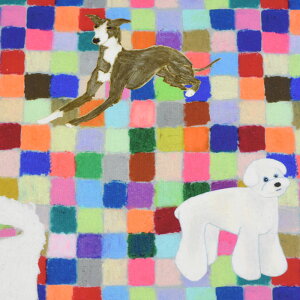 y3(30cm)10cmPʁznora vg Jtʕ V[`On