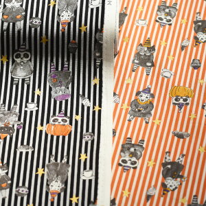 y3(30cm)10cmPʁzKOKKA RbJ Monotone Halloween mg[ nEB V[`On