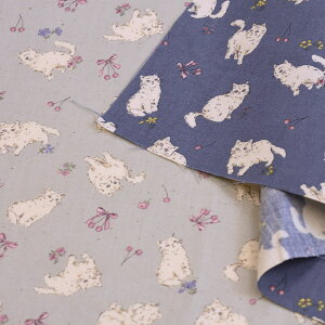 y3(30cm)10cmPʁzKOKKA RbJ v`vX `F[L V[`On