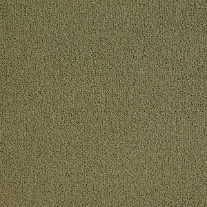 y3(30cm)10cmPʁzX[eO W[[bgjbg