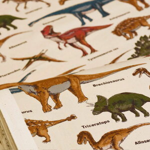 y3(30cm)10cmPʁz vg cCn