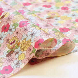 y3(30cm)10cmPʁz჉~l[g/ŔRbg΂₵ ˂Ɖԕ IbNXvg