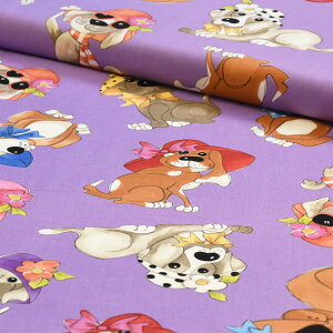 y3(30cm)10cmPʁzUSAn vg |bvȂ񂿂 Rbgn