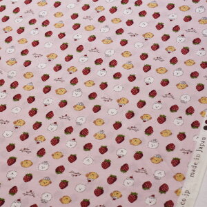 y3(30cm)10cmPʁzKOKKA RbJ уv fU[ghbO V[`On