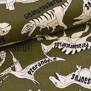 y3(30cm)10cmPʁzKOKKA mg[XN[  Ȑn