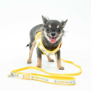 y50̂I|Cg5{IԌIzLN^[ [htn[lX Zbg XS TCY i5ށj ct47537