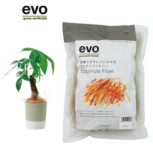 evo ALCɌRRVt@Co[yȂnMOoXPbgɁIV̑@×1܁ig)}`O Jo[ yB@RRVt@Co[ | }`zyDolabo h